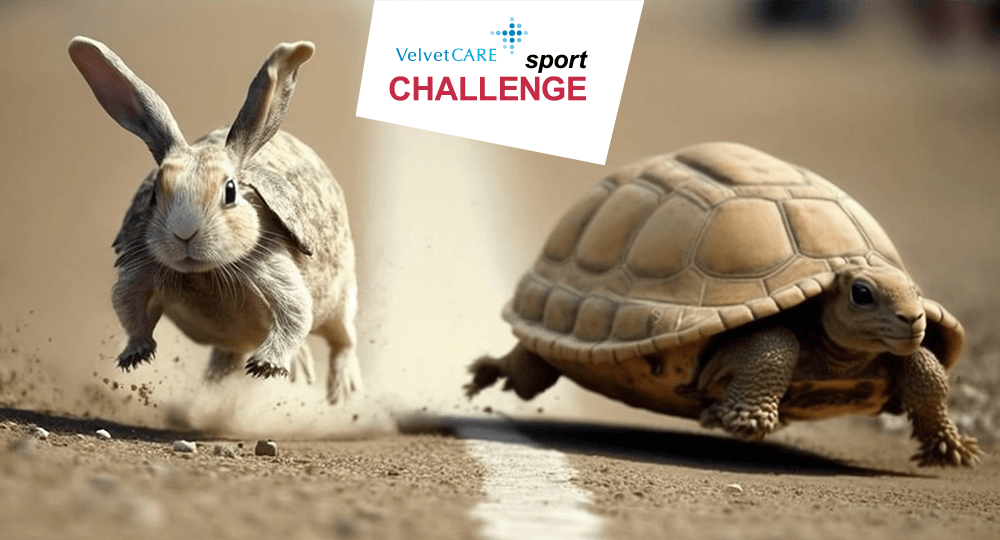 Plakat promujący nową edycję Velvet CARE Sport Challenge. Zając i żółw biegną do mety.