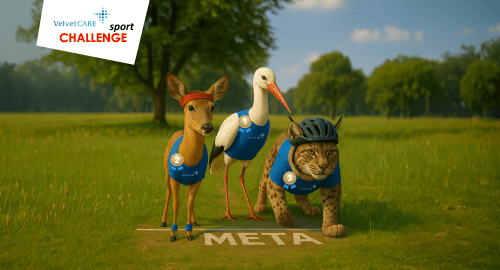 Za nami 7. edycja Velvet CARE Sport Challenge!
